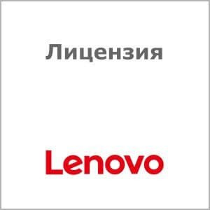 Лицензия Lenovo ThinkServer RAID (0C19491)