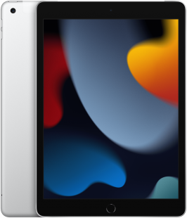 Планшет Apple iPad 2021 10.2 Wi-Fi 64Gb Silver (MK2L3ZP/A)