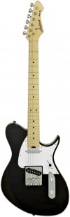 Гитара Aria Pro II J-TL BK