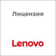 Лицензия Lenovo ThinkServer RAID (0C19491)
