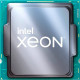 Процессор Intel Xeon E-2378 OEM (CM8070804495612)